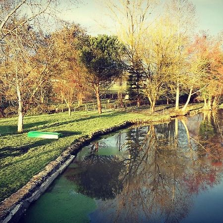 Gite Moulin De Lausseignan Barbaste Luaran gambar