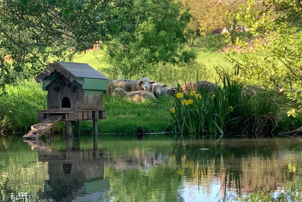 Gite Moulin De Lausseignan Barbaste Luaran gambar