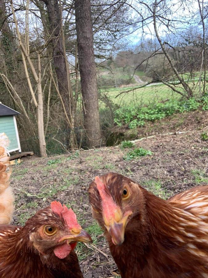 Gite Moulin De Lausseignan Barbaste Luaran gambar